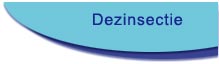 dezinsectie